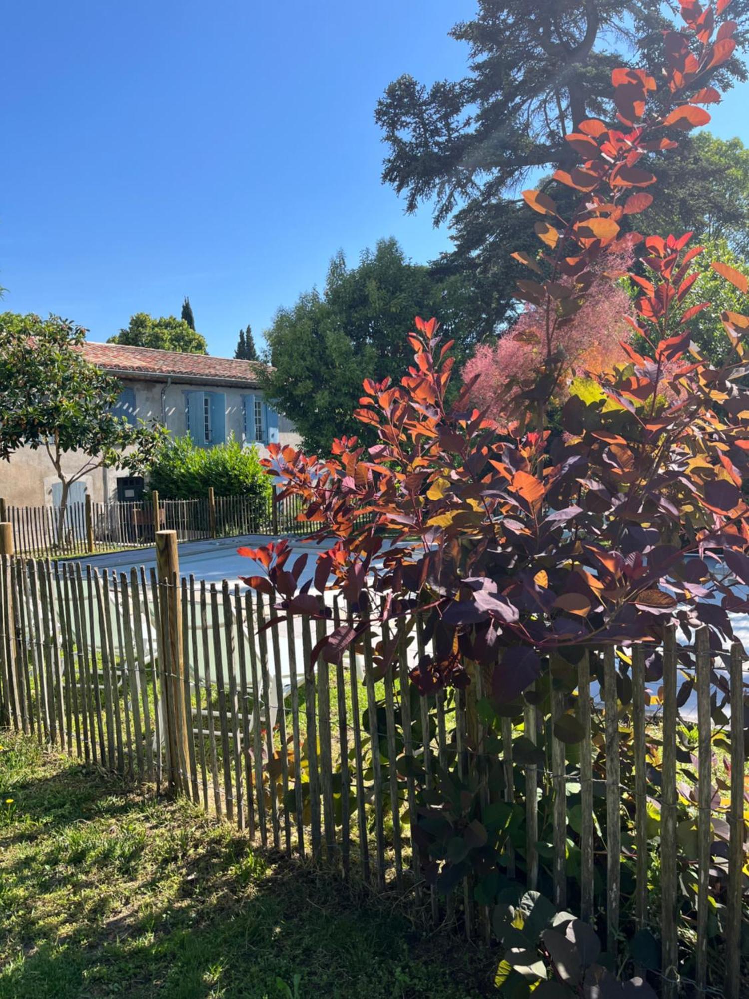 L'Oree De La Cite Villa Carcassonne Exterior foto